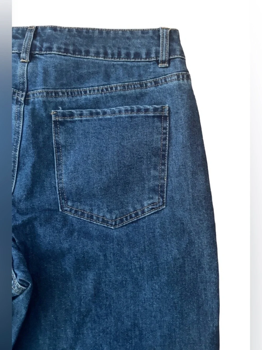 Rachel Zoe NWT hi ride wide leg dk wsh blu jns SZ 10 preppy casual